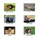 image 4 of Kevin Milner Working Hunter Countryside Greetings Card - White/Grey/Green - One Size