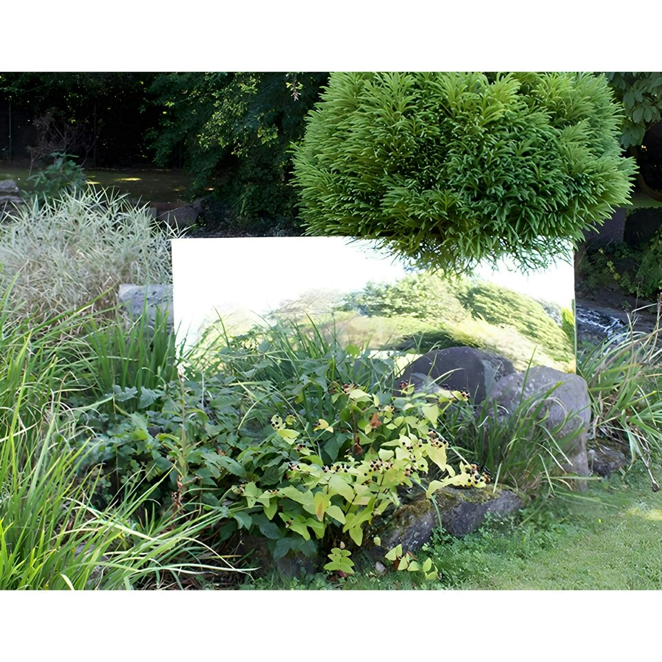 image 1 of Primrose Acrylic Wall Mounted Rectangular Silver Garden Mirror 180cm x 60cm