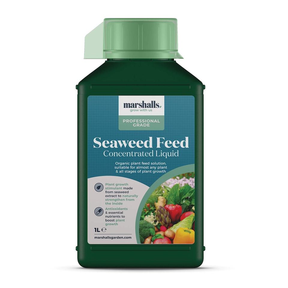 image 1 of Marshalls Garden Liquid Seaweed Feed 1 Litre
