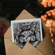 image 3 of Ernst Haeckel Art Card Hexacorallia Vintage Coral Illustration