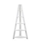 image 1 of Corner Ladder Bookcase
