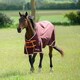image 2 of Gallop Equestrian Trojan Xtra 100 Turnout Red | Size: 6ft 0
Colour: Burgundy