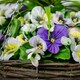 image 6 of Primrose Artificial Pansy Flowers Rattan Hanging Basket Yellow Purple White 25cm