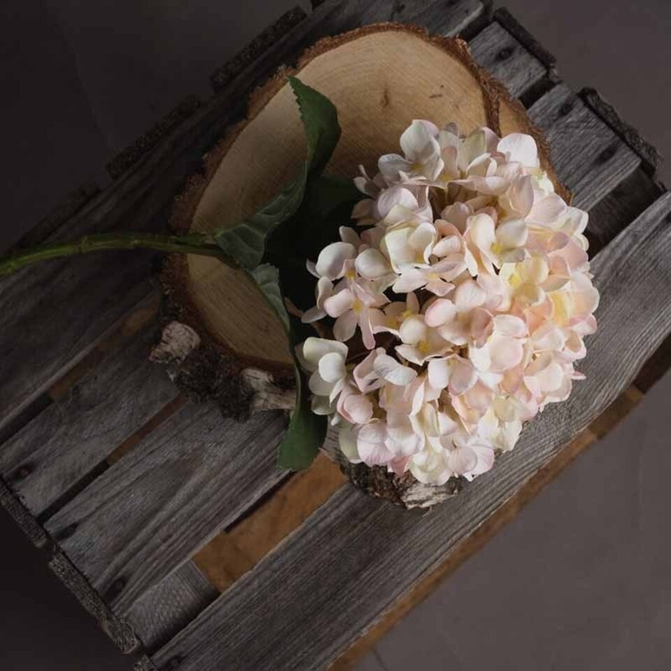 image 1 of Autumn Hydrangea Artificial Flower - Fabric/Plastic - L18 x W18 x H42 cm - White