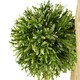 image 3 of Artificial Topiary Balls Topiary - 480 Leaves  UV PROTECTED OUTDOOR Botanik | Green | One Size