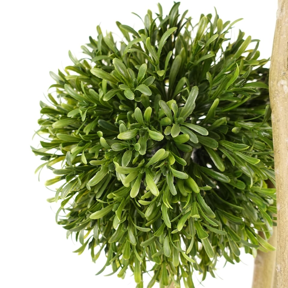 image 1 of Artificial Topiary Balls Topiary - 480 Leaves UV PROTECTED OUTDOOR Botanik | Green | One Size