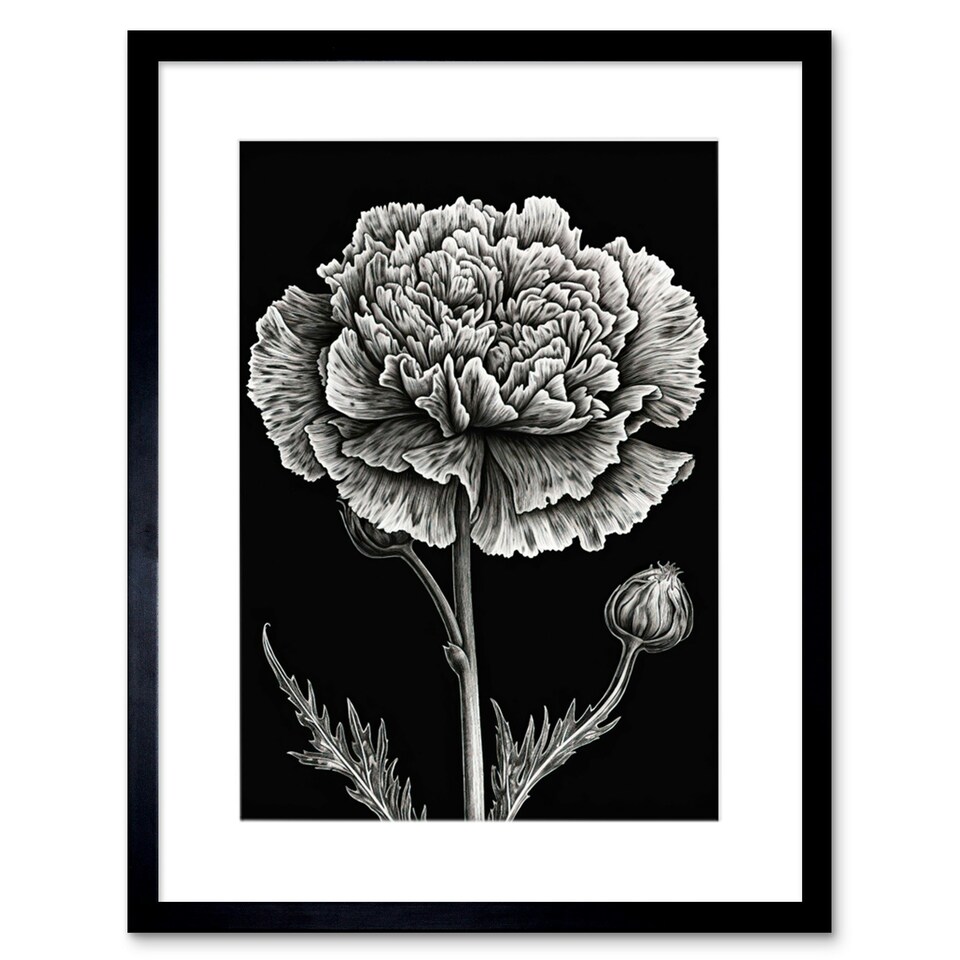 image 1 of Floral Black White Carnation Flower 9x7" Black Framed Wall Art Print