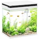 image 1 of PawHut 14L Small Fish Tank with Filter System, LED Lights, Water Pump, White