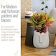 image 7 of Textured Concrete Effect Beige Oval Face Planter Indoor L30.5 D29.5 H29.5 cm, 13.9 ltrs Cap.