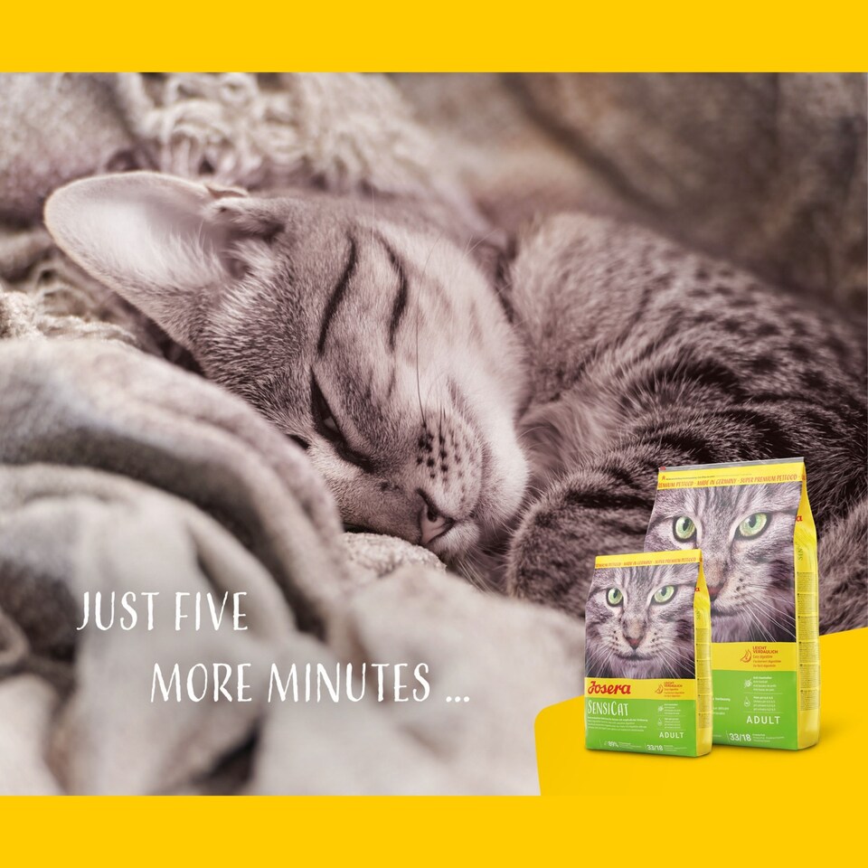 image 1 of Josera SensiCat complete food for adult cats | Sensitive stomach | For fussy cats| Gluten free | Anti-Hairball | Skin & Coat | Herbs & Fruits | 10kg
