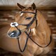 image 6 of LeMieux Grackle Bridle Black | Cob