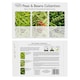 image 7 of Pronto Seed Vegetable Seeds Bumper Pack – 21 Popular Varieties, Over 1,700 Seeds for Growing Your Own Veg