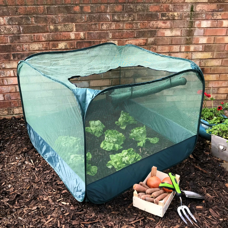 image 1 of GardenSkill Pop Up Strawberry & Salad Fruit Cage Bird Netting Pest Protection Cover 1.25m x 0.75m H