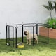 image 8 of PawHut Six-Panel Dog Playpen with Door, for Indoor, Outdoor, 60cm Tall