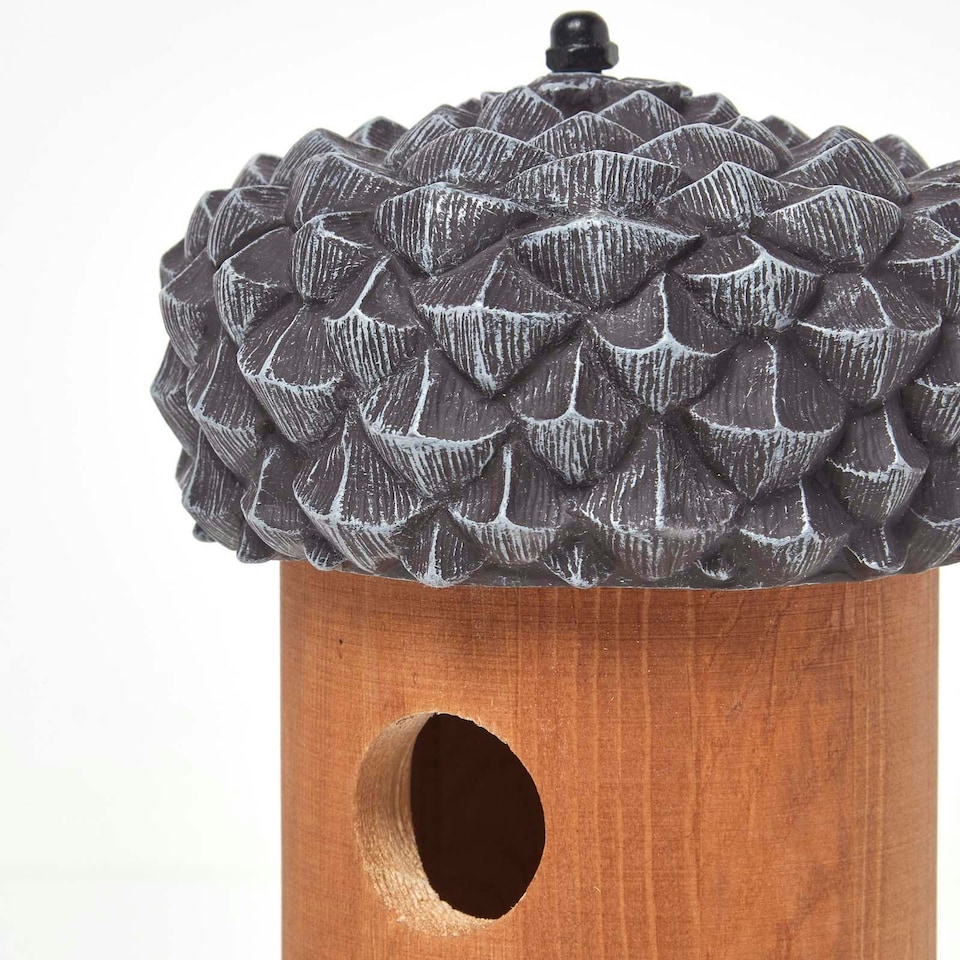image 1 of Homescapes Real Wood Acorn Bird Box Brown