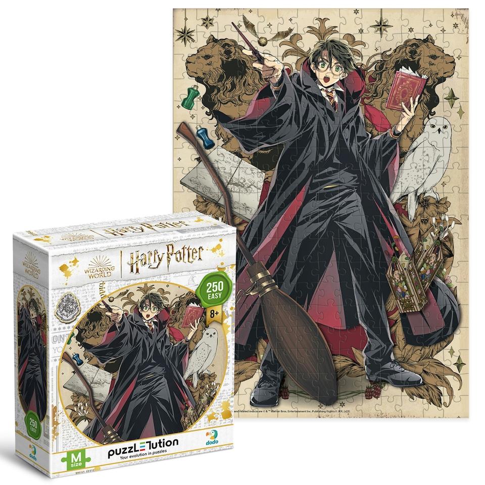image 1 of Dodo Harry Potter Wizarding World 250 Piece Medium Jigsaw Puzzle