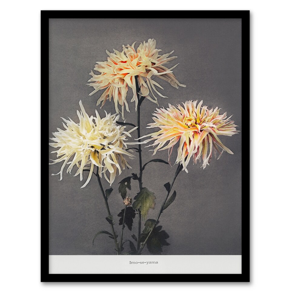 image 1 of Ogawa Kazumasa Framed Wall Art Print Chrysanthemums Vintage Floral Home Décor