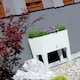 image 2 of Rattan Large Planter Seed | White | 1