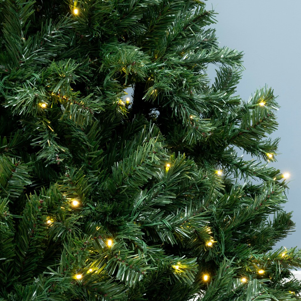 image 1 of Christmas Tree World  Pre-lit 2.9m Vanda Verde Fir Christmas Tree