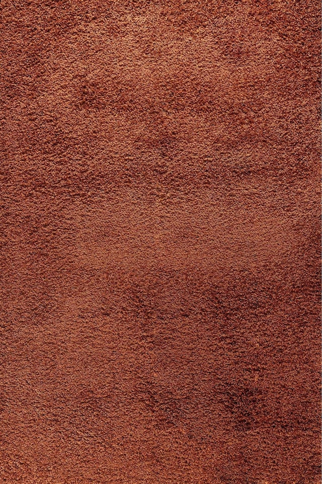 image 1 of Desire Rugs Plain Living Room Fluffy Shaggy Area Rugs