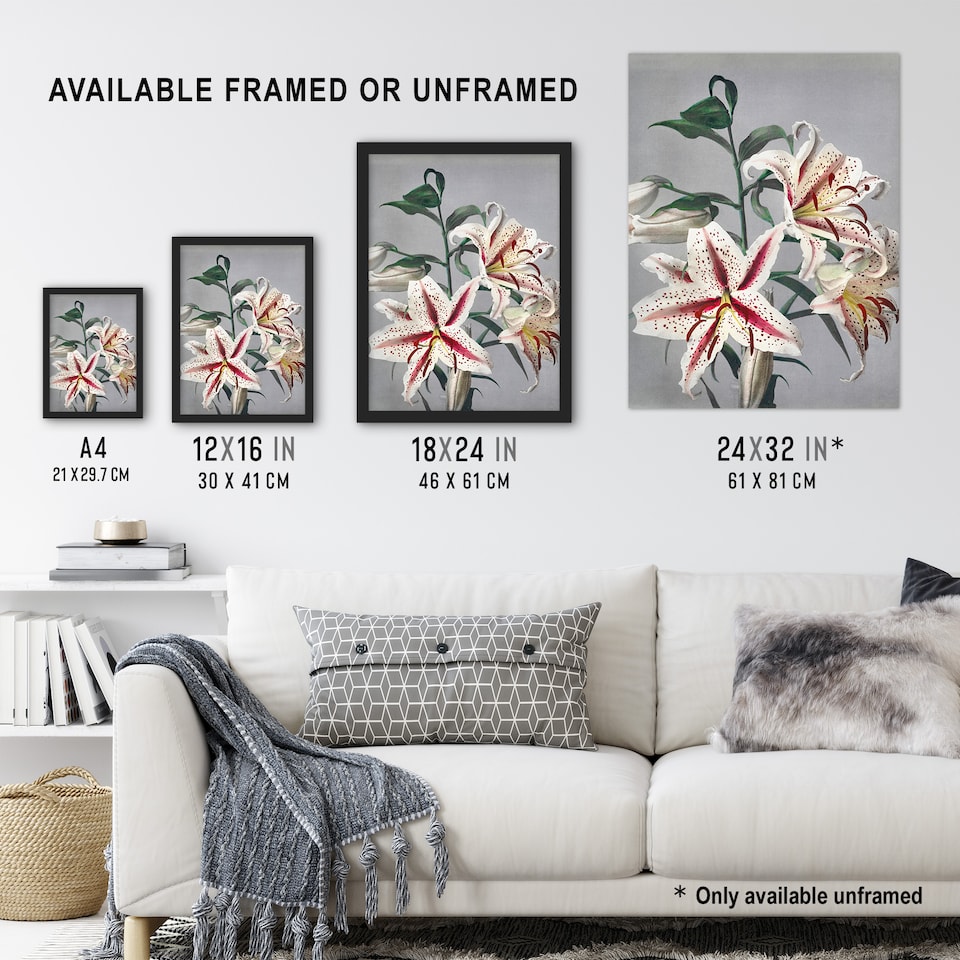 image 1 of White Pink Spotted Lily Flowers Vintage Framed Wall Art Print Kazumasa 12x16"