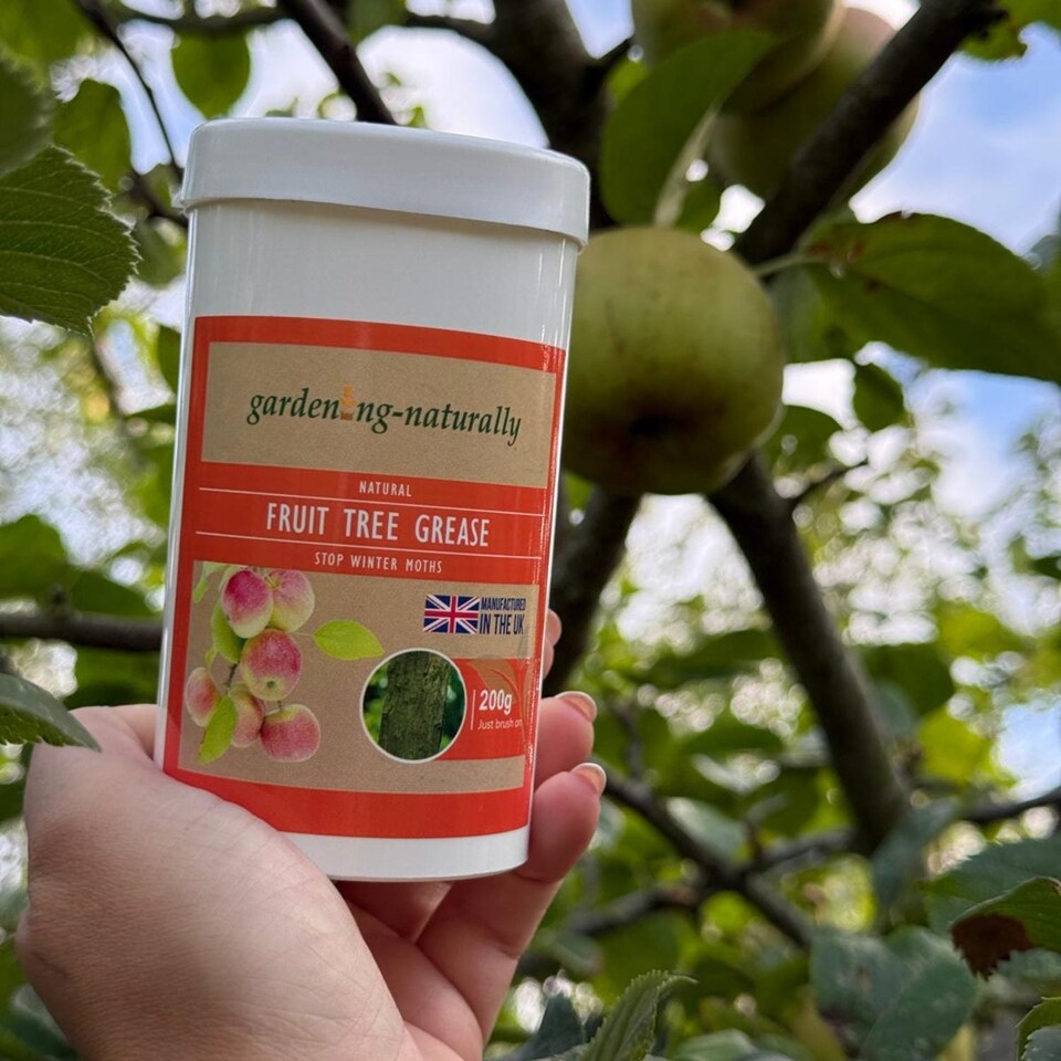 image 1 of Gardening Naturally Fruit Tree Grease for Winter Moth and Crawling Insects