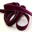 9709 Fuchsia