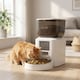 image 2 of PawHut Automatic 4L Cat Feeder with Camera, 2.4G WiFi, Smart APP Control