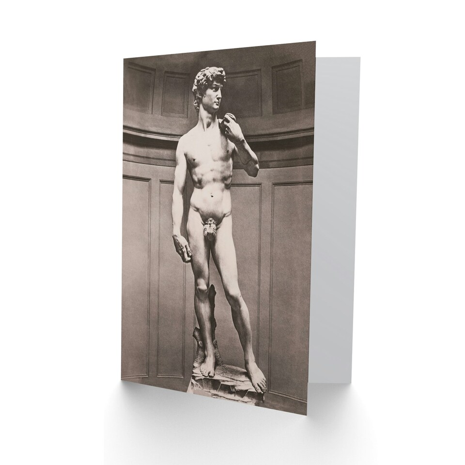 image 1 of Michelangelo Art Card Statue of David Vintage Photograph