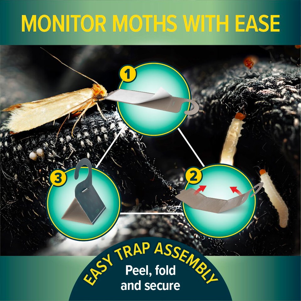 image 1 of NOPE Clothes Moth Traps (x12) Odourless Non-Toxic Pheromone Sticky Trap For Cupboards, Drawers & Clothes - Child & Pet Safe