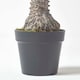 image 3 of Homescapes Phoenix Palm Tree in Pot, 160 cm Tall
