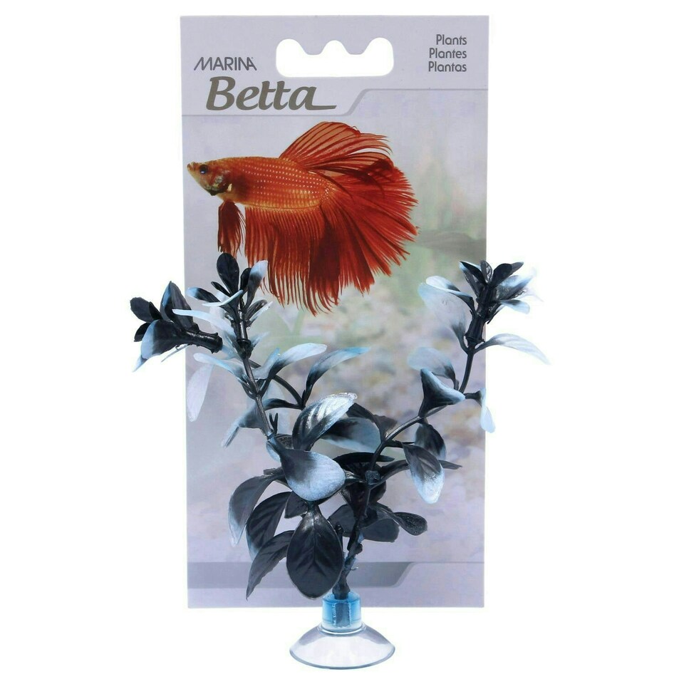 image 1 of Marina Betta Plant Red Ludwiga 12.7cm
