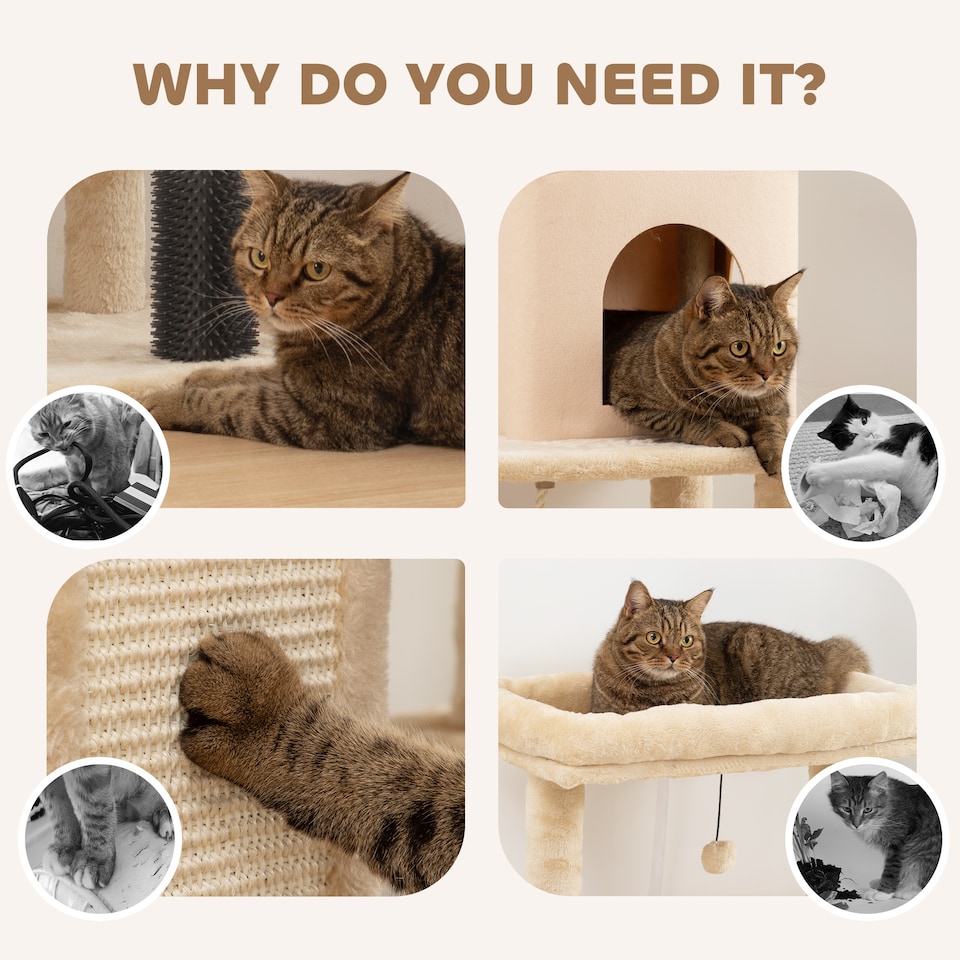 image 1 of PawHut Cat Tree for Indoor Kittens, 132cm Cat Tower with Scratching Posts and Pad, Bed, House, Jumping Platform, Grooming Brush, Toy Balls, Anti-Tip Kit, Cat Climbing Frame, Beige