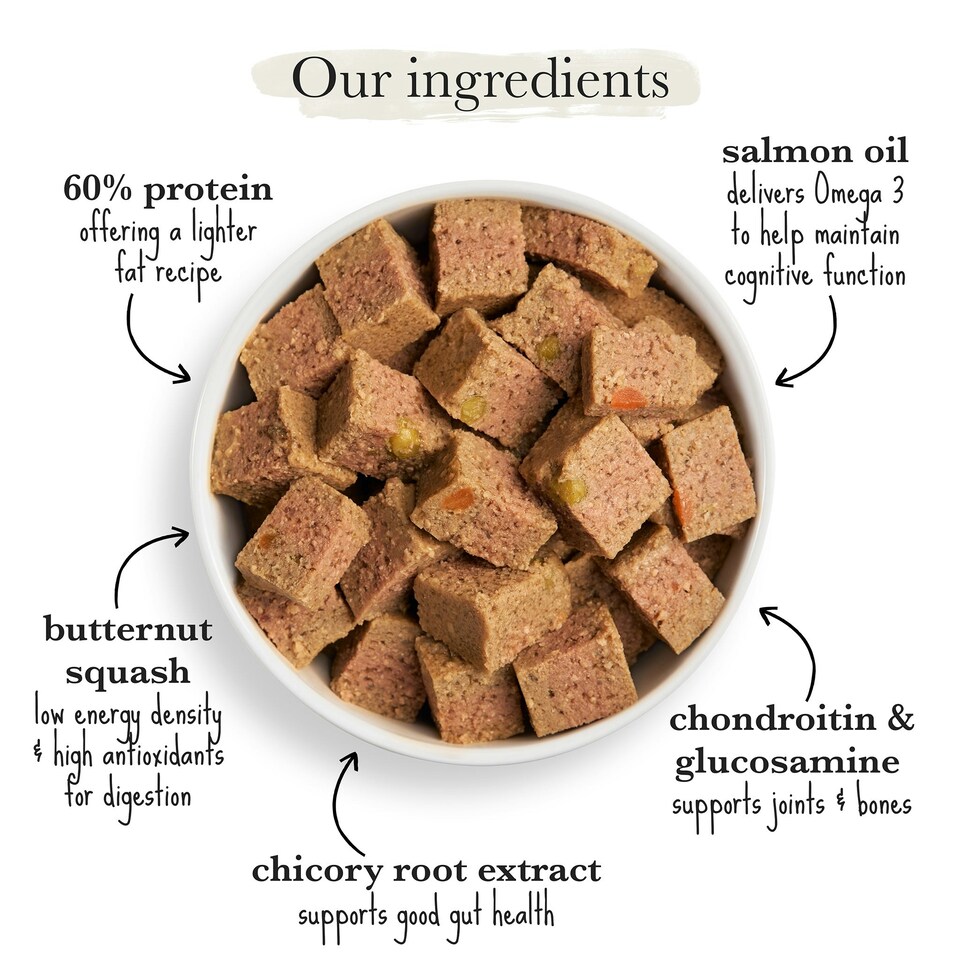 image 1 of Senior Turkey & Butternut Squash Wet Dog Food (18x395g)