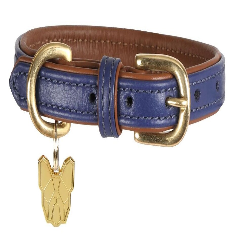 image 1 of Shires Digby & Fox Padded Leather Dog Collar Blue | Size: XX-Small
Colour: Navy
