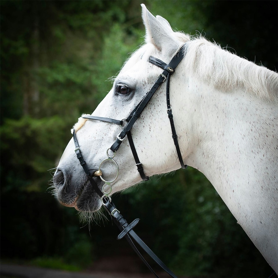image 1 of Gallop Equestrian Grackle Bridle | Brown | Size: Cob
Colour: Brown