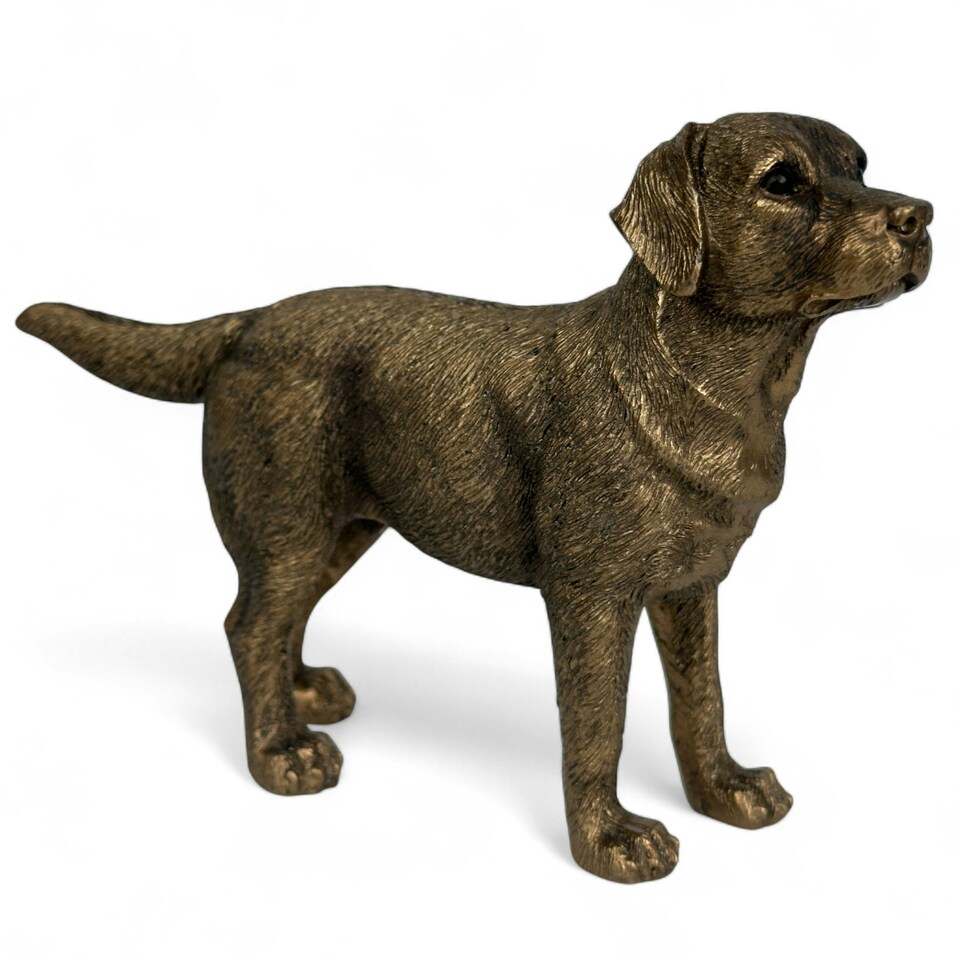 image 1 of Labrador Dog figurine, Leonardo Reflections Bronzed, gift boxed