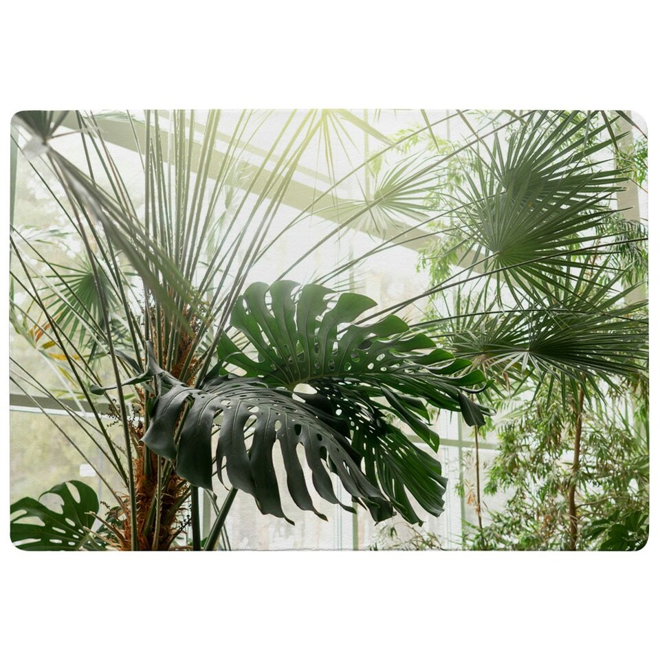 image 1 of Green plants in botanical garde (Rug) Green | S