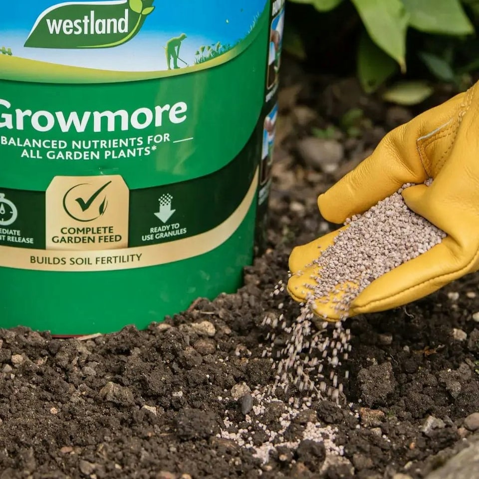image 1 of Westland Growmore Fertiliser