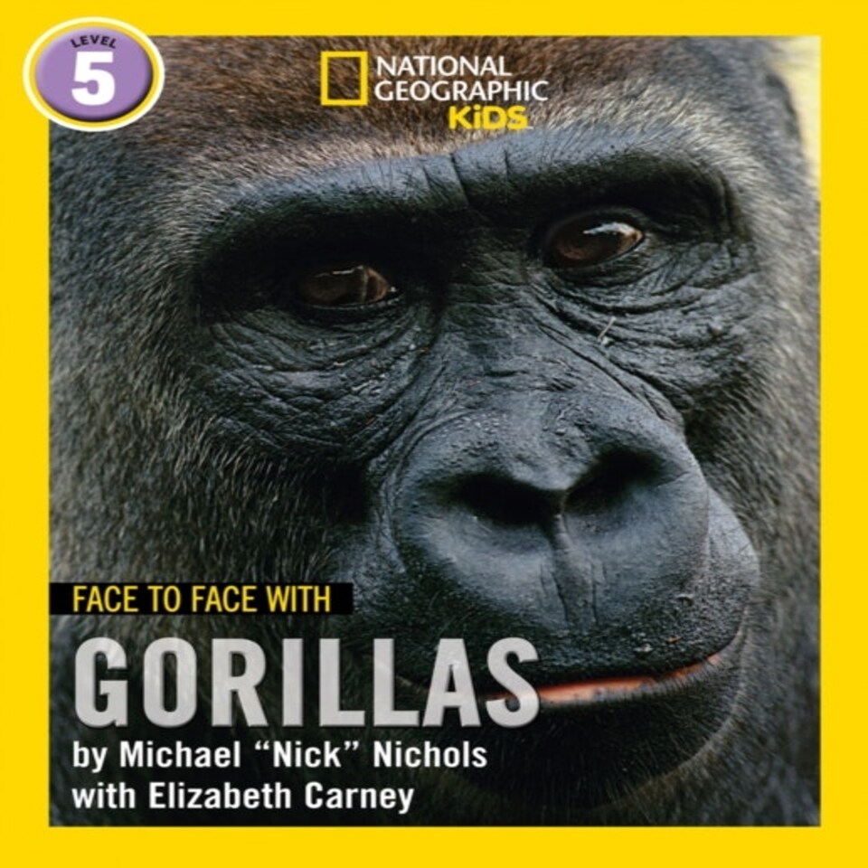 Face To Face With Gorillas