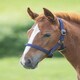 image 6 of Shires Foal Headcollar Red | Size: Foal
Colour: Red