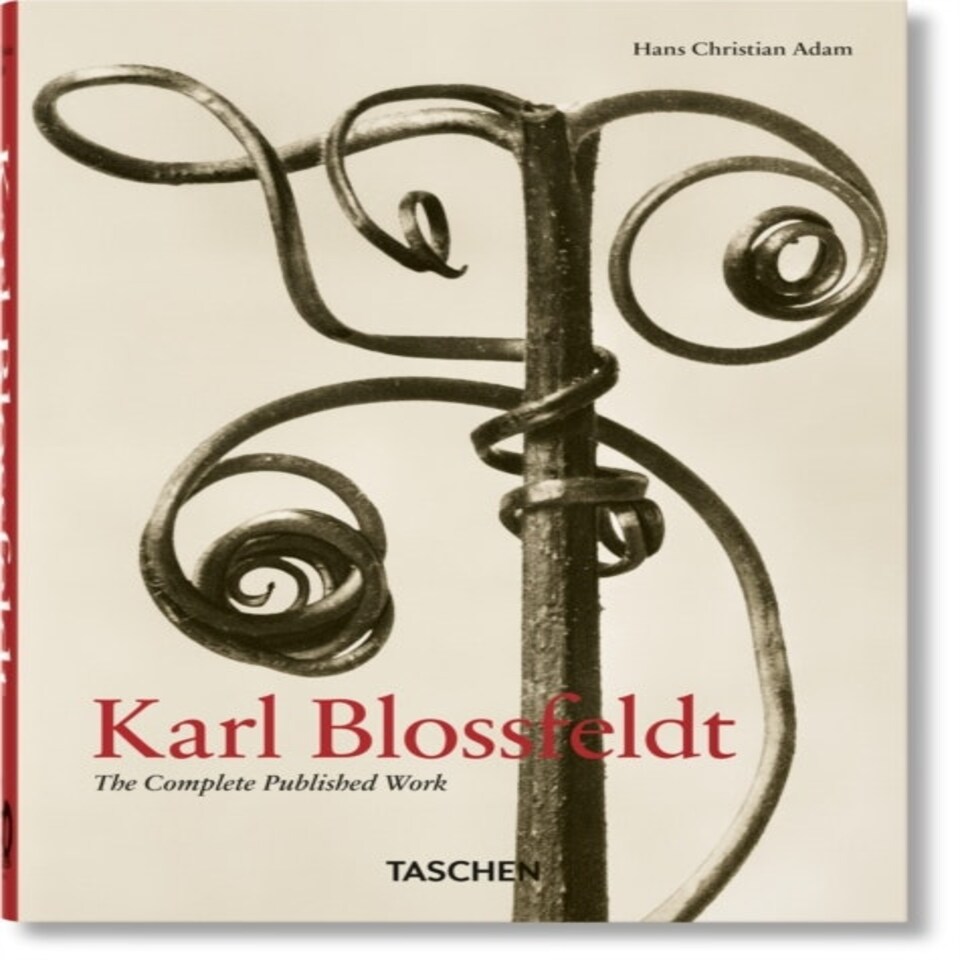 Karl Blossfeldt