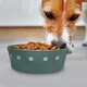 image 7 of Pre-personalised Dog Bowl Featuring Popular Names, Breeds and Captions - Harley - Over 60 Titles Available