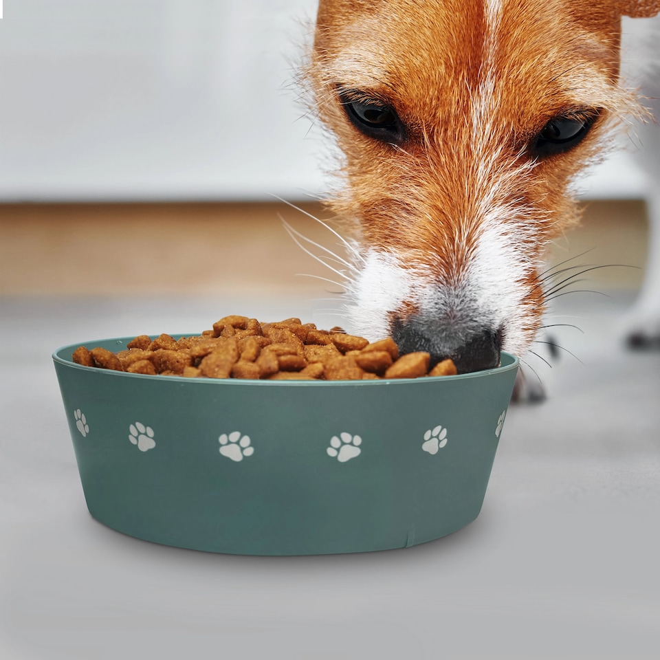 image 1 of Pre-personalised Dog Bowl Featuring Popular Names, Breeds and Captions - Harley - Over 60 Titles Available
