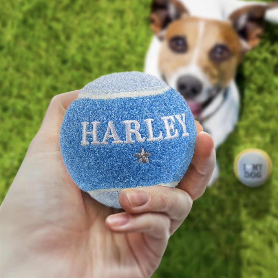 image 1 of Pre-Personalised Dog Ball Gift Pack 2pcs Blue Harley