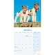 image 3 of Fox Terrier (Wire Haired) 2026 Calendar | Square Wall Calendar | Dog Breed Gift | Plastic Free Packaging | by Avonside Publishing