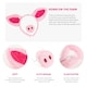 image 2 of Pig Fancy Dress Set – Headband with Ears, Nose & Tail Costume Kit N/A | One Size