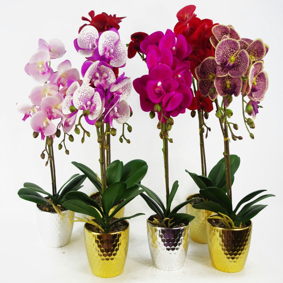 image 1 of Orchid Artificial Red Leopard Gold Pot 50cm Phalaenopsis