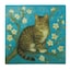 Almond Blossoms Tabby Cat - Selected