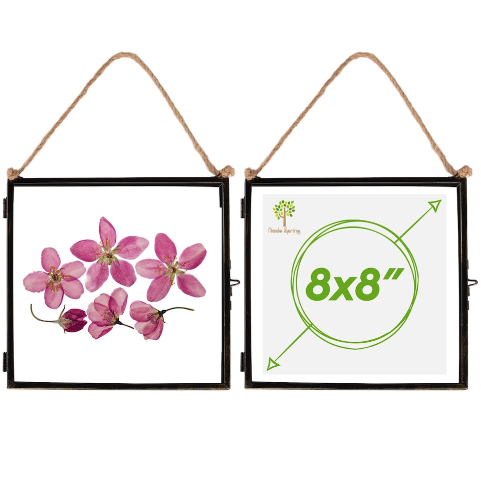 image 1 of Nicola Spring Hanging Metal Photo Frames - 8" x 8" - Black - Pack of 2 | Black | Black | One Size